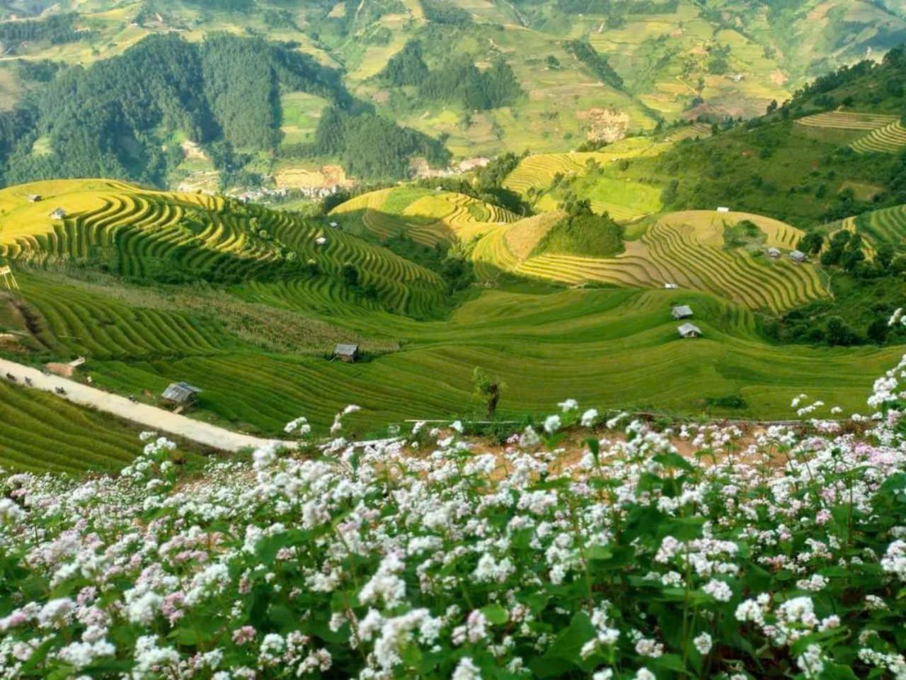Mu Cang Chai Eco Home Kültér fotó