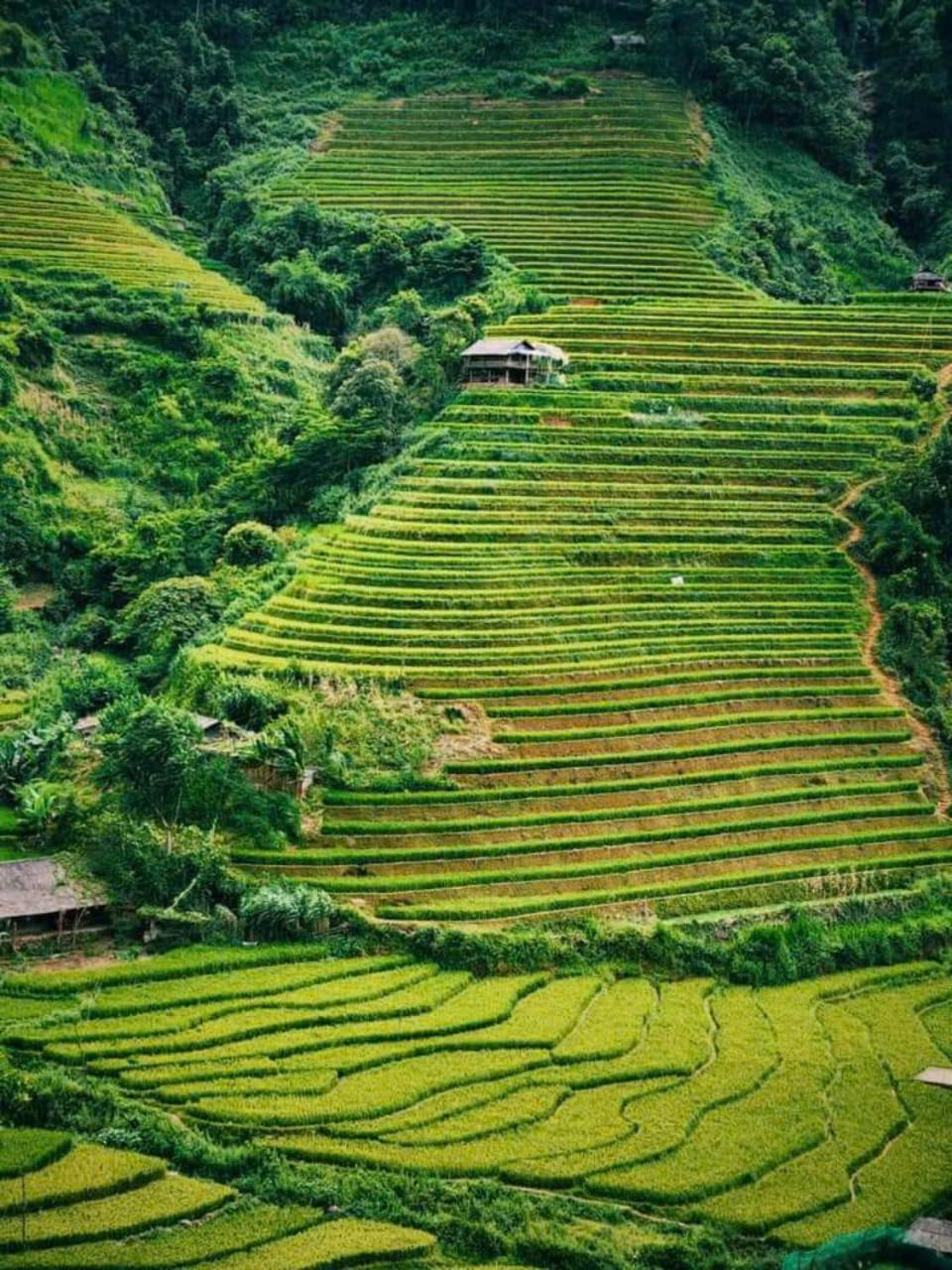 Mu Cang Chai Eco Home Kültér fotó